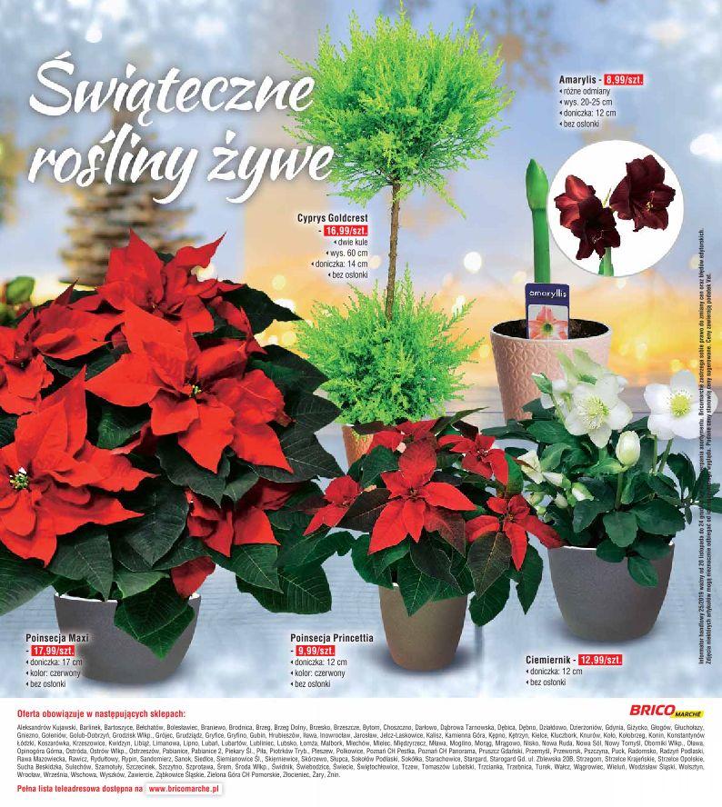 Gazetka promocyjna Bricomarche str. 24